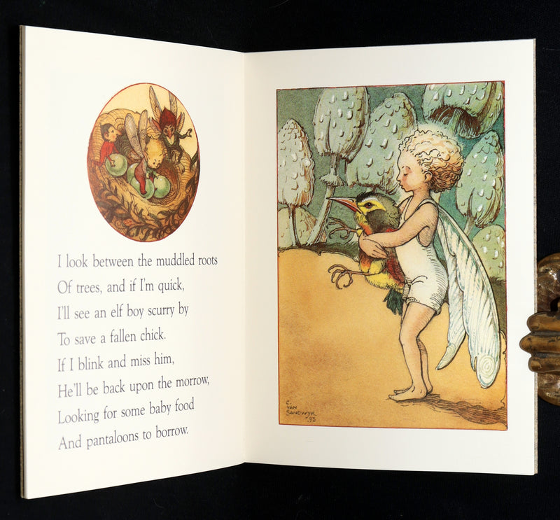 1993 Scarce First Edition- How to See Fairies by Charles van Sandwyk + Bookmark