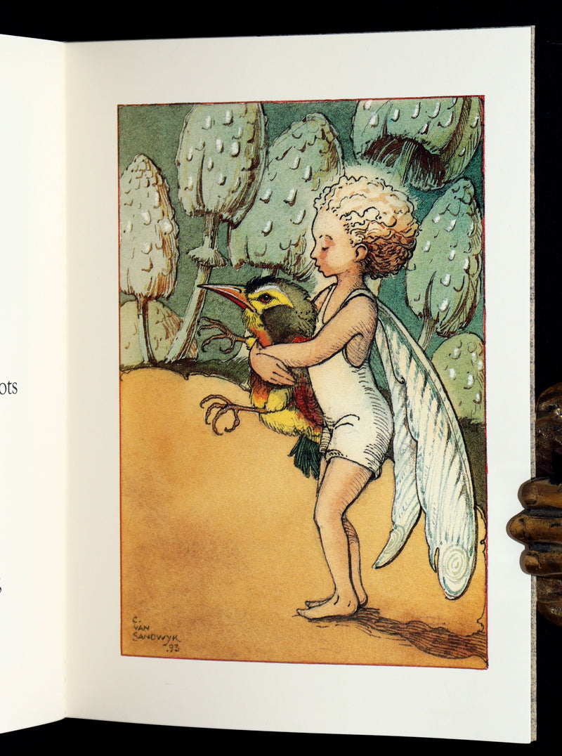 1993 Scarce First Edition- How to See Fairies by Charles van Sandwyk + Bookmark