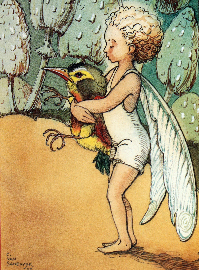 1993 Scarce First Edition- How to See Fairies by Charles van Sandwyk + Bookmark