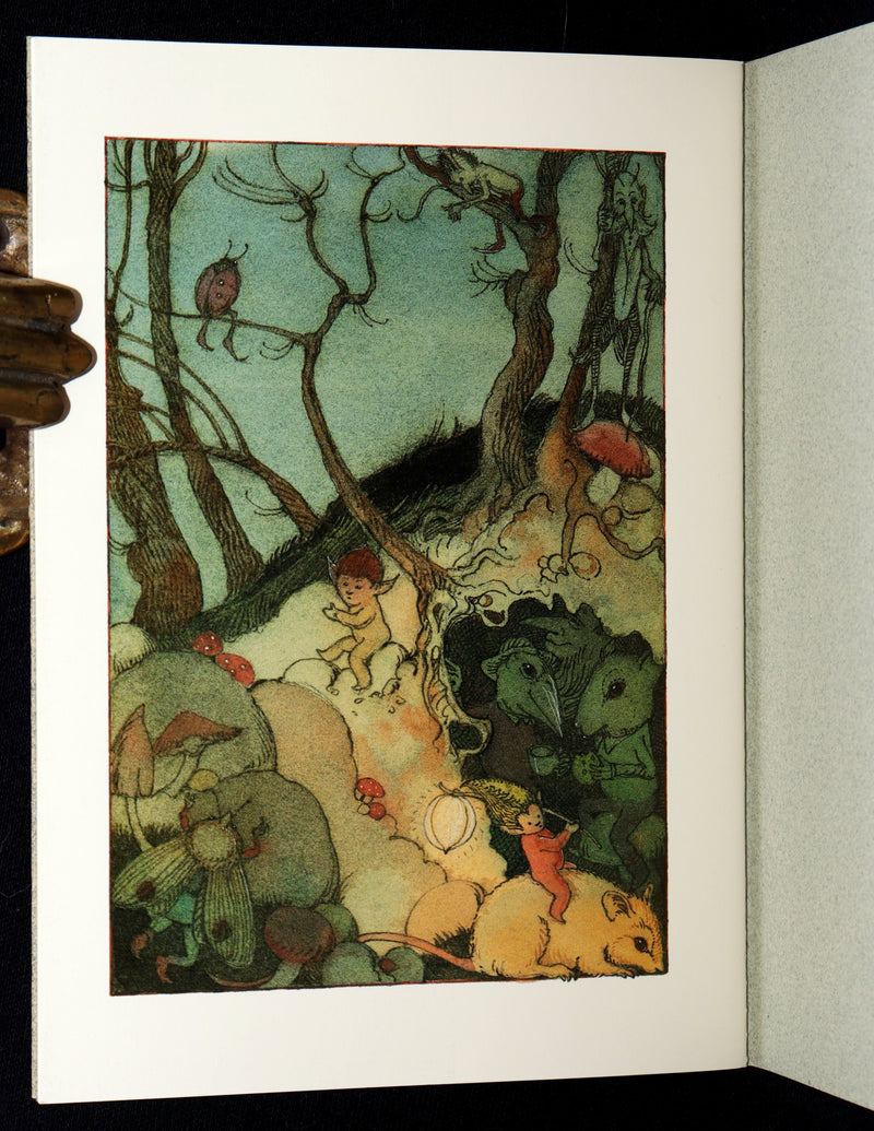 1993 Scarce First Edition- How to See Fairies by Charles van Sandwyk + Bookmark