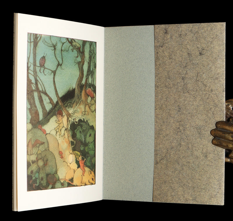 1993 Scarce First Edition- How to See Fairies by Charles van Sandwyk + Bookmark