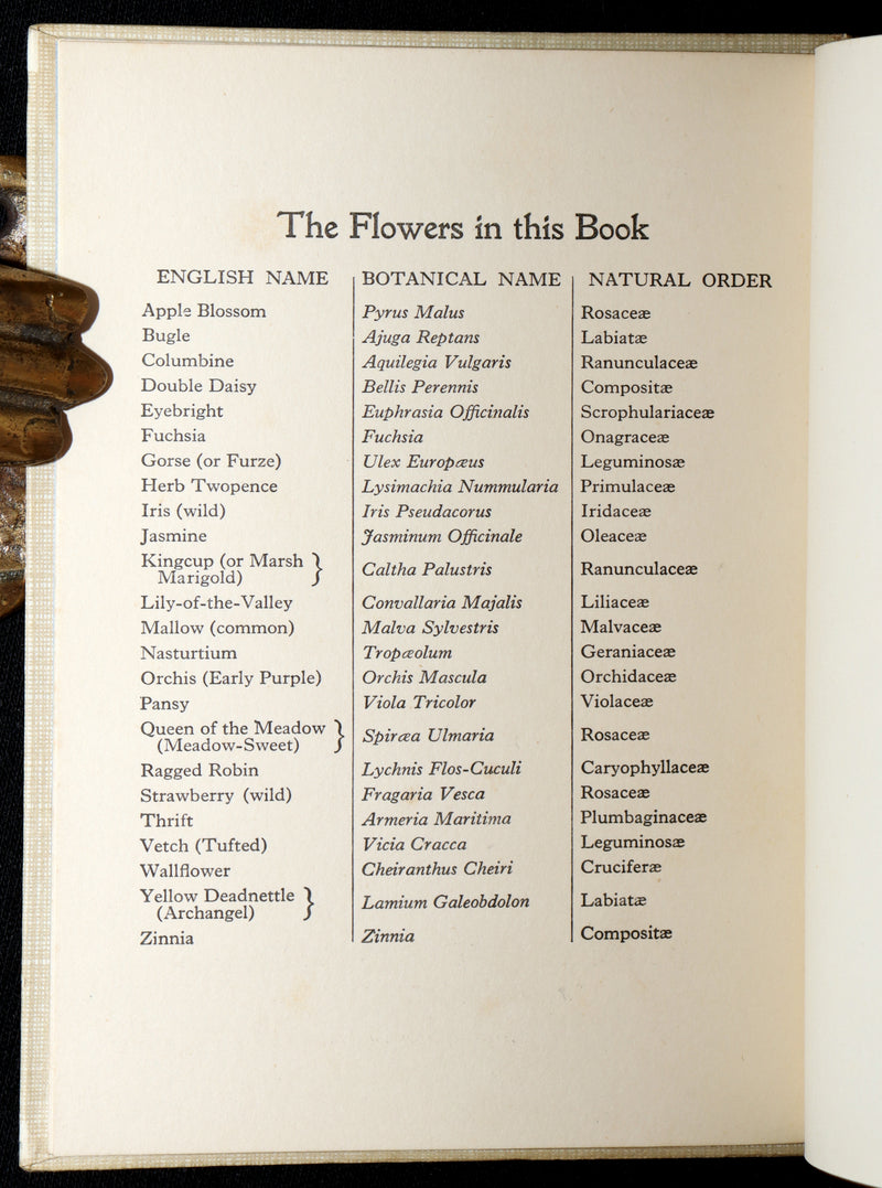 1934 Rare First Edition - A Flower Fairy Alphabet by Cicely Mary Barker