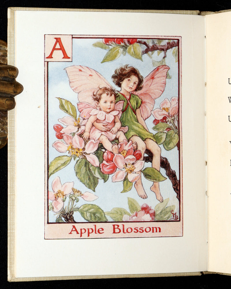 1934 Rare First Edition - A Flower Fairy Alphabet by Cicely Mary Barker