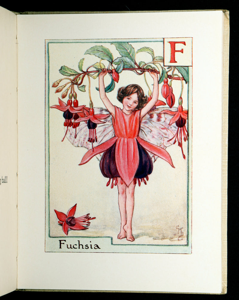 1934 Rare First Edition - A Flower Fairy Alphabet by Cicely Mary Barker