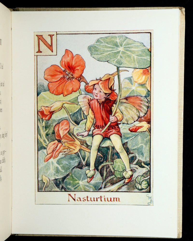 1934 Rare First Edition - A Flower Fairy Alphabet by Cicely Mary Barker