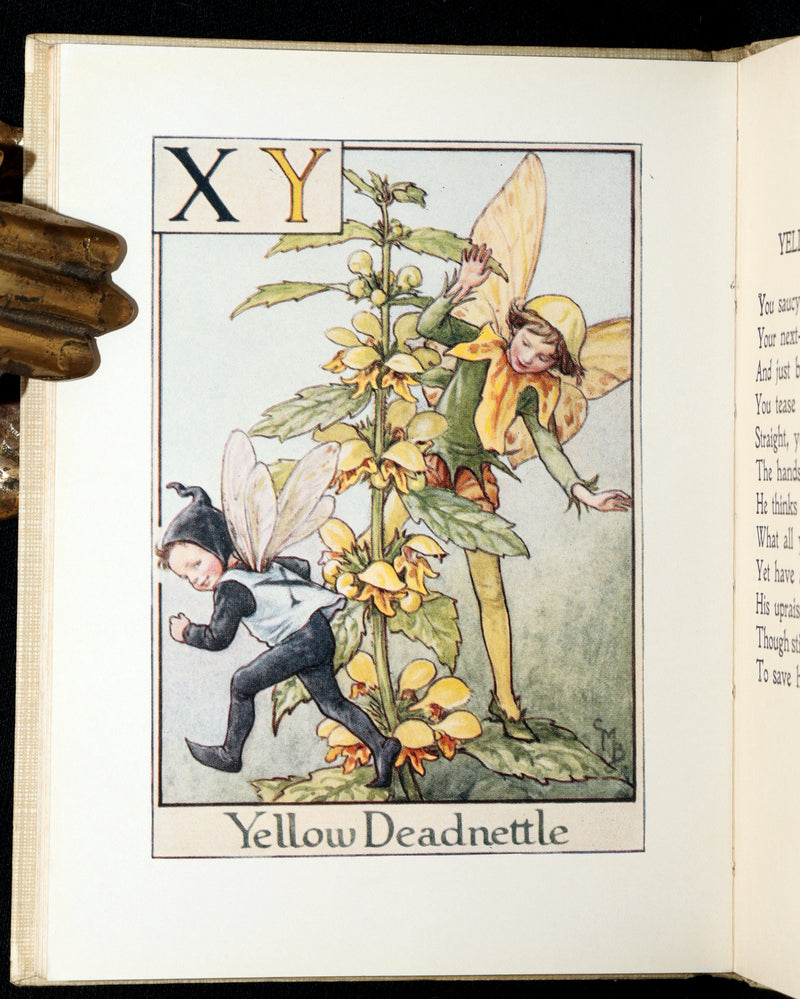 1934 Rare First Edition - A Flower Fairy Alphabet by Cicely Mary Barker