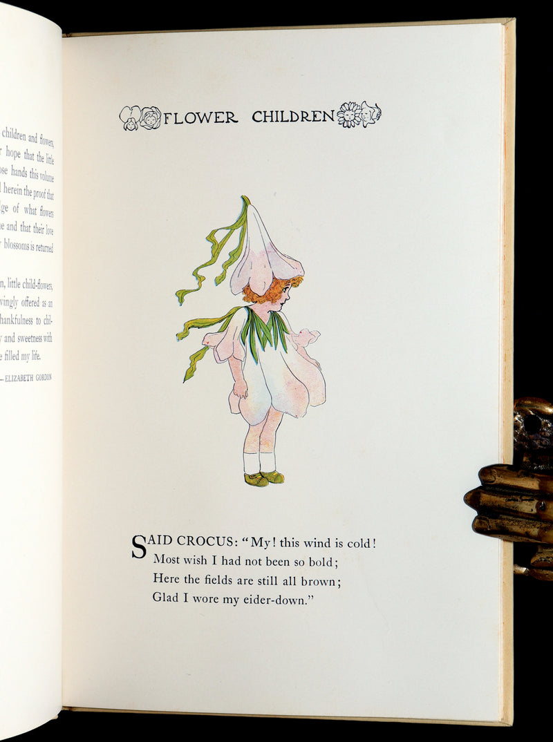 1910 Scarce Book with original Box - Flower Children Illustrated by M.T. Ross