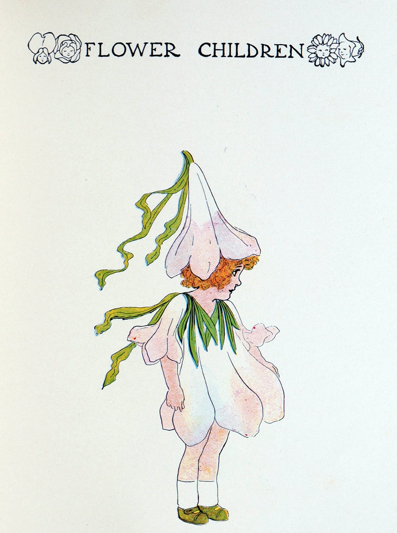 1910 Scarce Book with original Box - Flower Children Illustrated by M.T. Ross