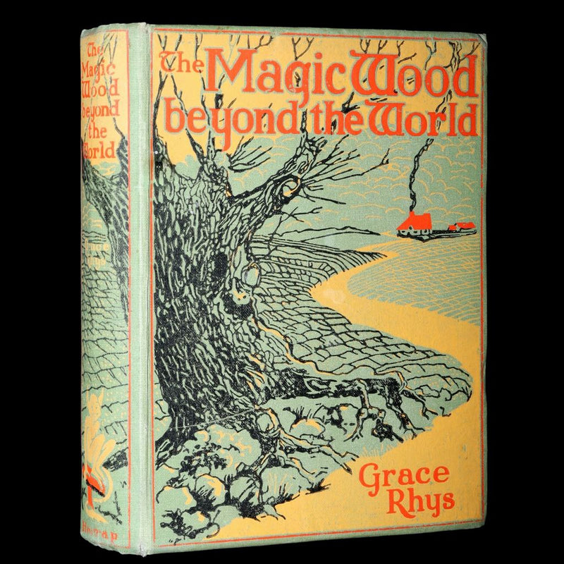 1931 Scarce book -The Magic Wood Beyond the World by Margaret W. Tarrant