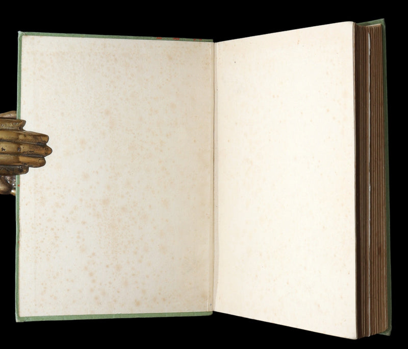 1931 Scarce book -The Magic Wood Beyond the World by Margaret W. Tarrant