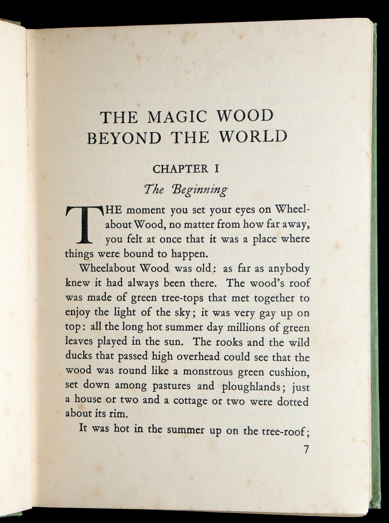 1931 Scarce book -The Magic Wood Beyond the World by Margaret W. Tarrant