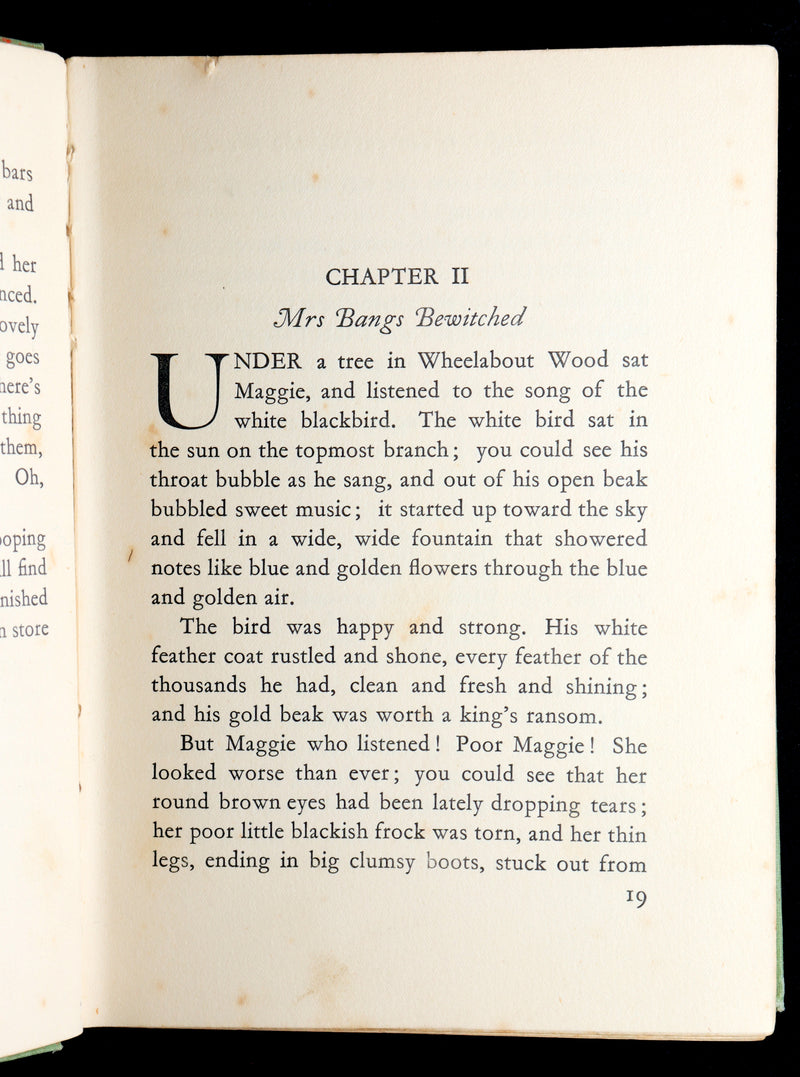 1931 Scarce book -The Magic Wood Beyond the World by Margaret W. Tarrant
