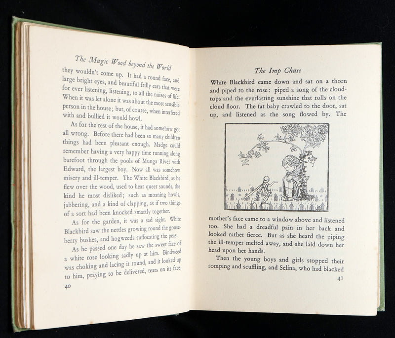 1931 Scarce book -The Magic Wood Beyond the World by Margaret W. Tarrant