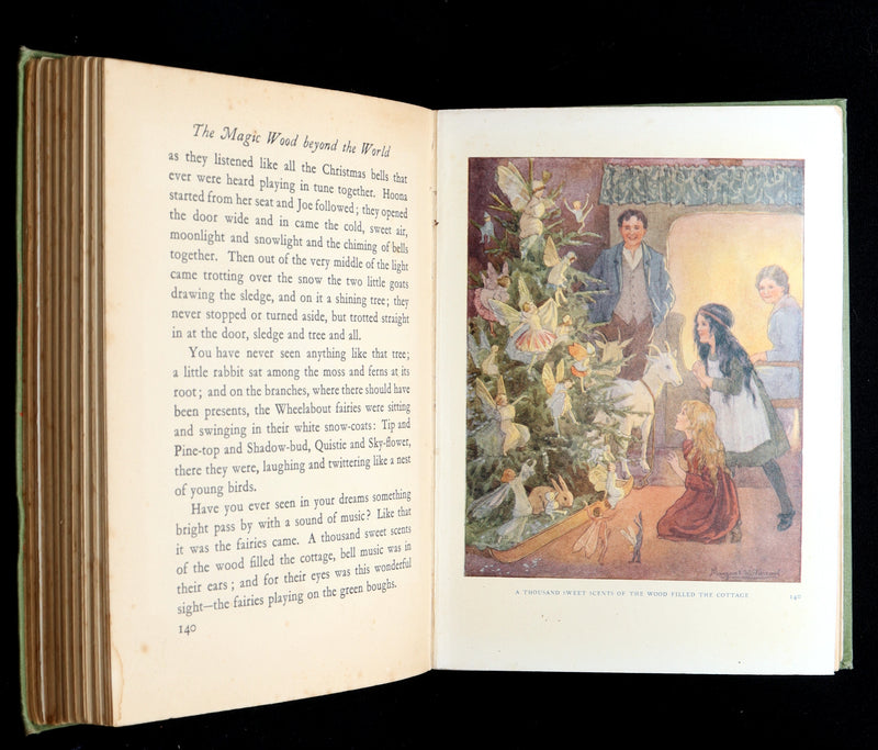 1931 Scarce book -The Magic Wood Beyond the World by Margaret W. Tarrant