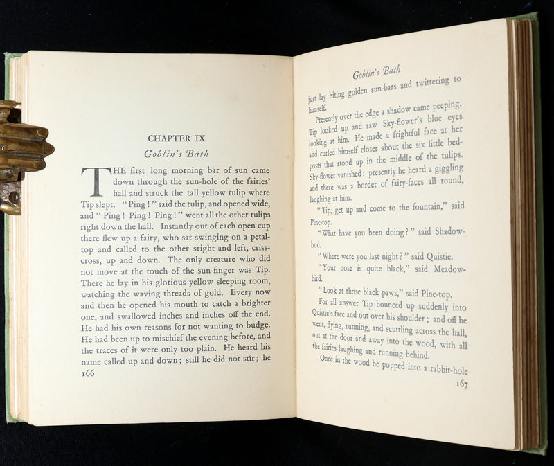 1931 Scarce book -The Magic Wood Beyond the World by Margaret W. Tarrant