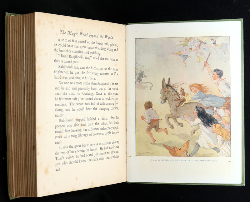 1931 Scarce book -The Magic Wood Beyond the World by Margaret W. Tarrant