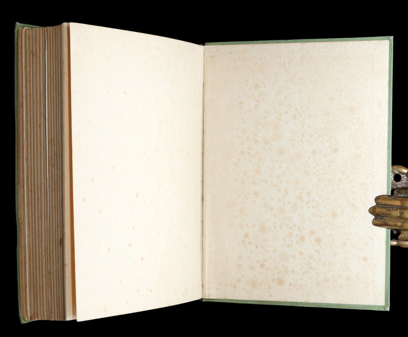 1931 Scarce book -The Magic Wood Beyond the World by Margaret W. Tarrant