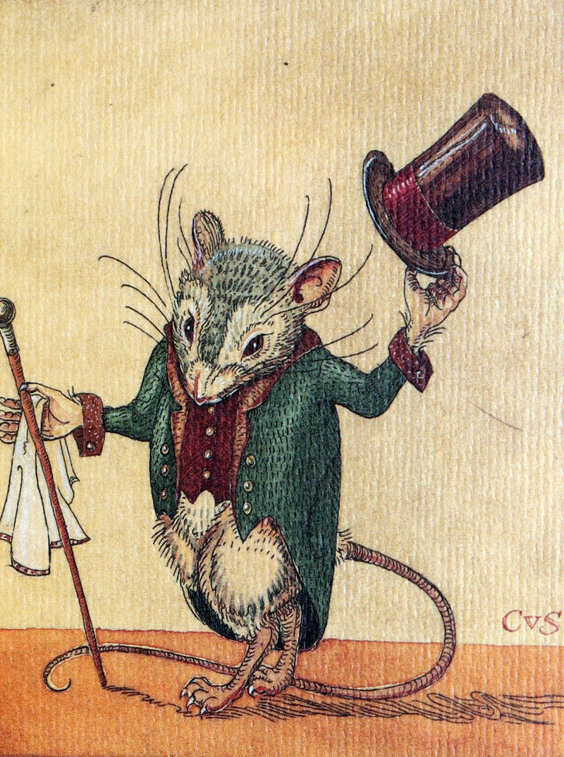 2002 Scarce Signed 1stED - The Meaning of Mice by Charles van Sandwyk.