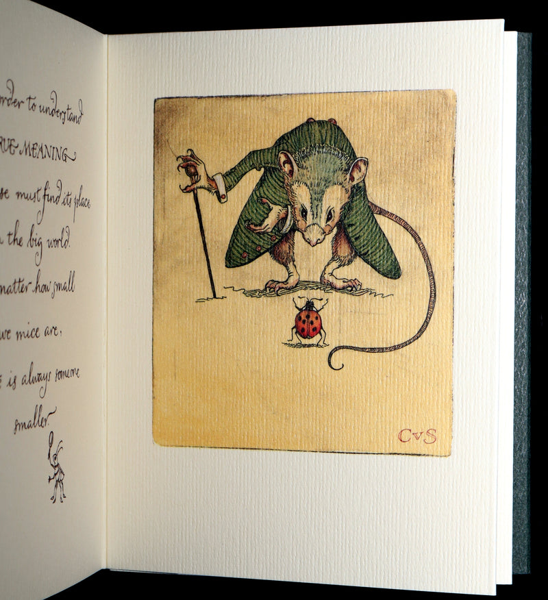 2002 Scarce Signed 1stED - The Meaning of Mice by Charles van Sandwyk.