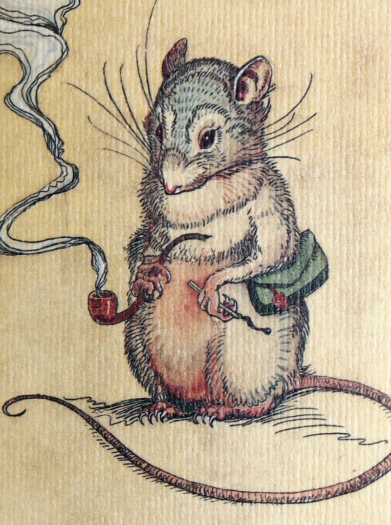 2002 Scarce Signed 1stED - The Meaning of Mice by Charles van Sandwyk.