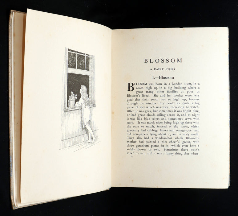 1928 Rare First Edition - Blossom A Fairy Story by Ida Rentoul Outhwaite