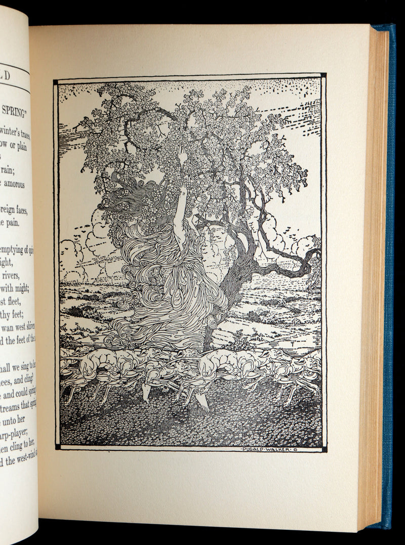 1927 Rare Book - Rainbow Gold by Sara Teasdale Illustrated by Dugald Walker