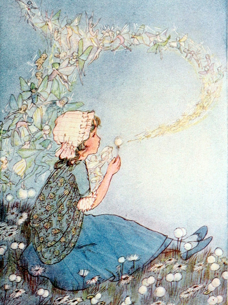 1920 First Edition - Dulcibella and the Fairies illustrated by Hilda T. Miller