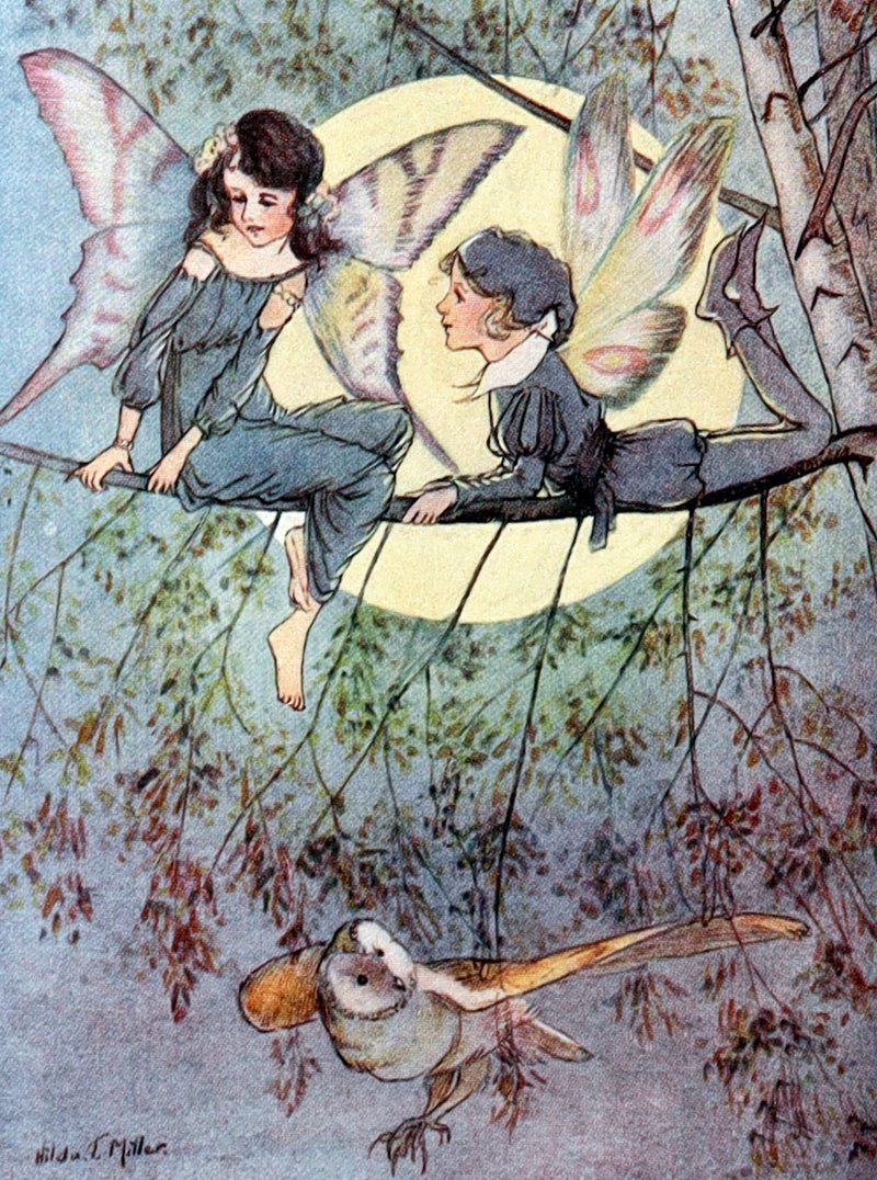 1920 First Edition - Dulcibella and the Fairies illustrated by Hilda T. Miller