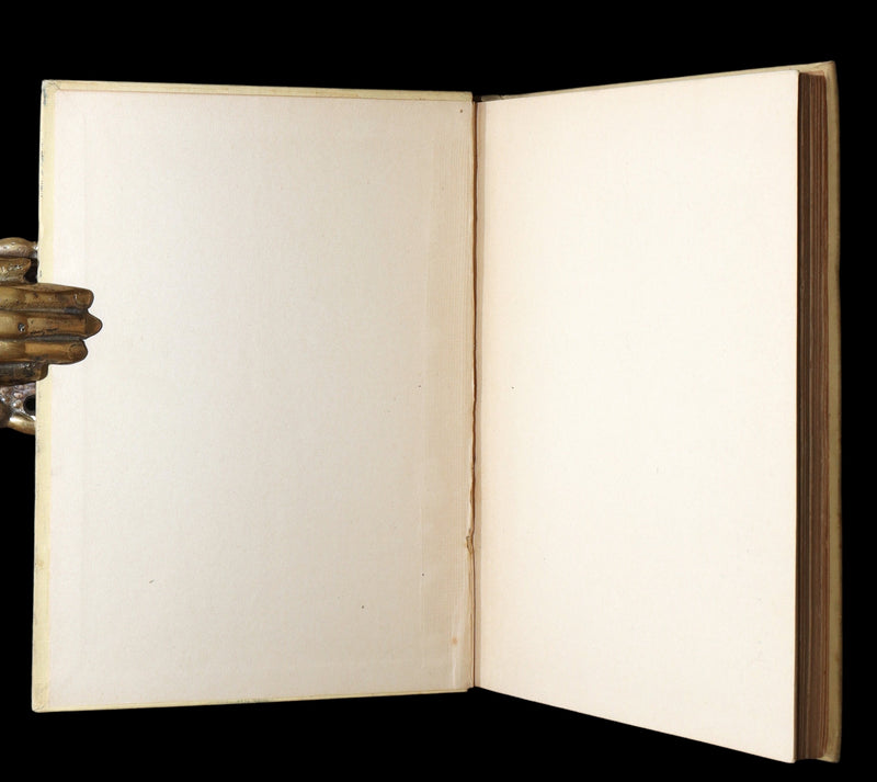 1918 First Edition-The Boy Who Knew What the Birds Said by Dugald Stewart Walker