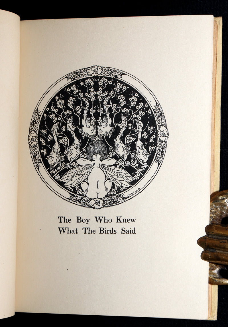 1918 First Edition-The Boy Who Knew What the Birds Said by Dugald Stewart Walker