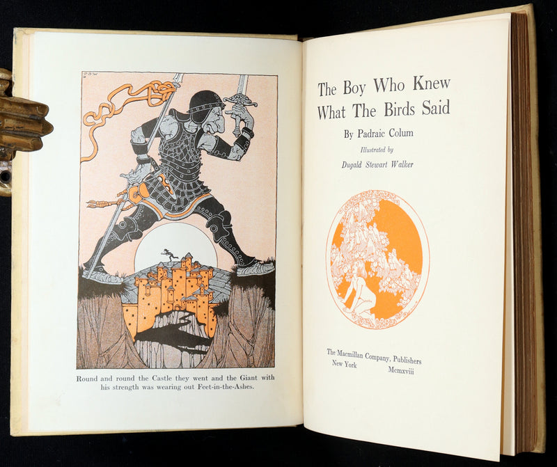 1918 First Edition-The Boy Who Knew What the Birds Said by Dugald Stewart Walker