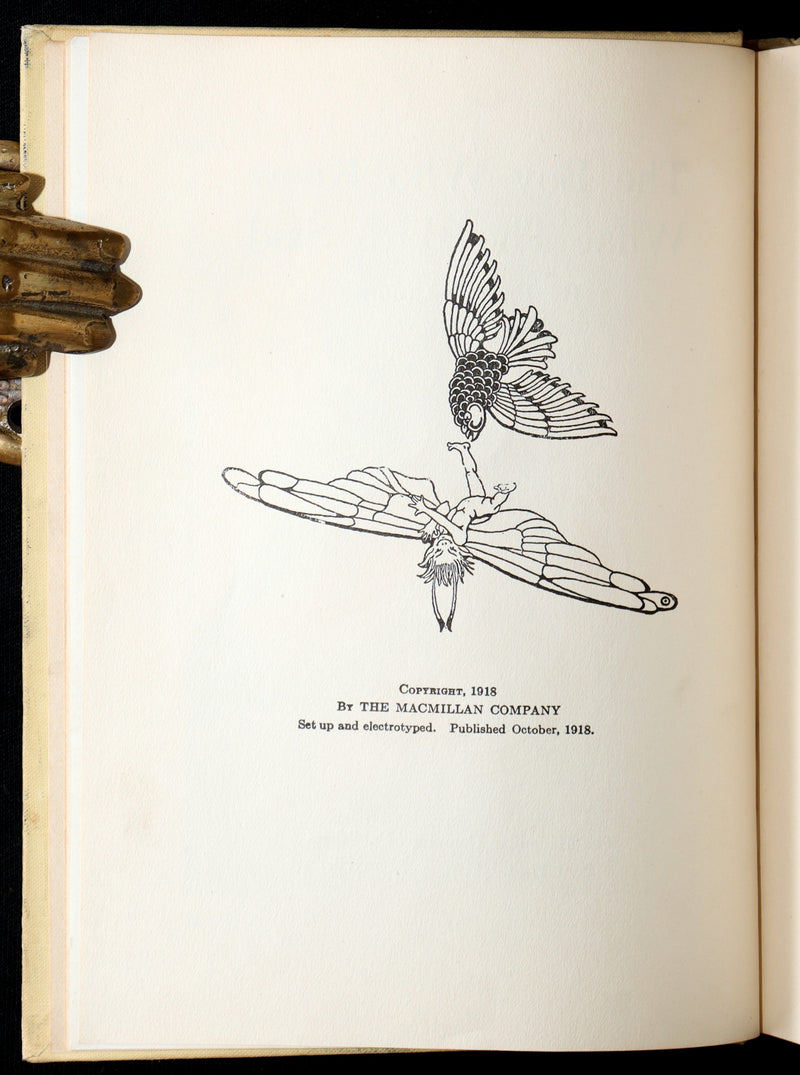 1918 First Edition-The Boy Who Knew What the Birds Said by Dugald Stewart Walker