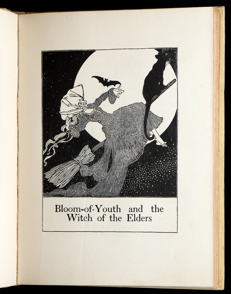 1918 First Edition-The Boy Who Knew What the Birds Said by Dugald Stewart Walker