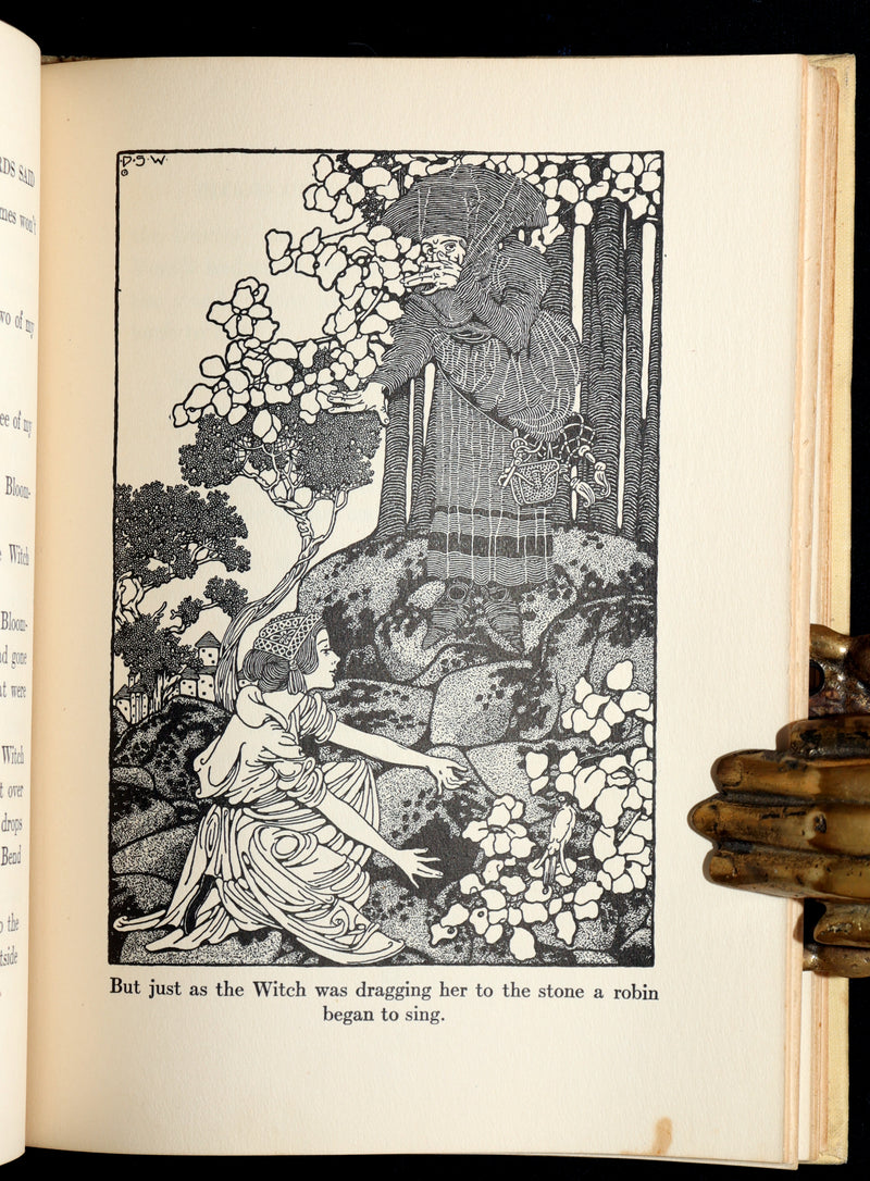 1918 First Edition-The Boy Who Knew What the Birds Said by Dugald Stewart Walker