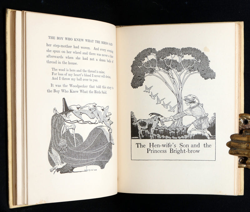 1918 First Edition-The Boy Who Knew What the Birds Said by Dugald Stewart Walker