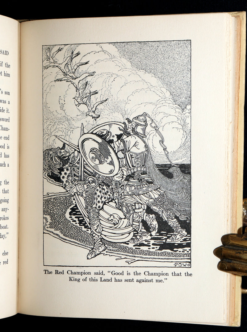 1918 First Edition-The Boy Who Knew What the Birds Said by Dugald Stewart Walker