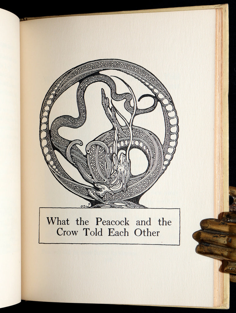 1918 First Edition-The Boy Who Knew What the Birds Said by Dugald Stewart Walker
