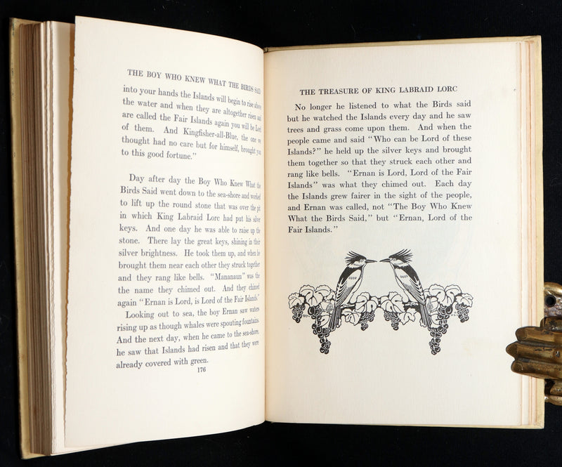 1918 First Edition-The Boy Who Knew What the Birds Said by Dugald Stewart Walker