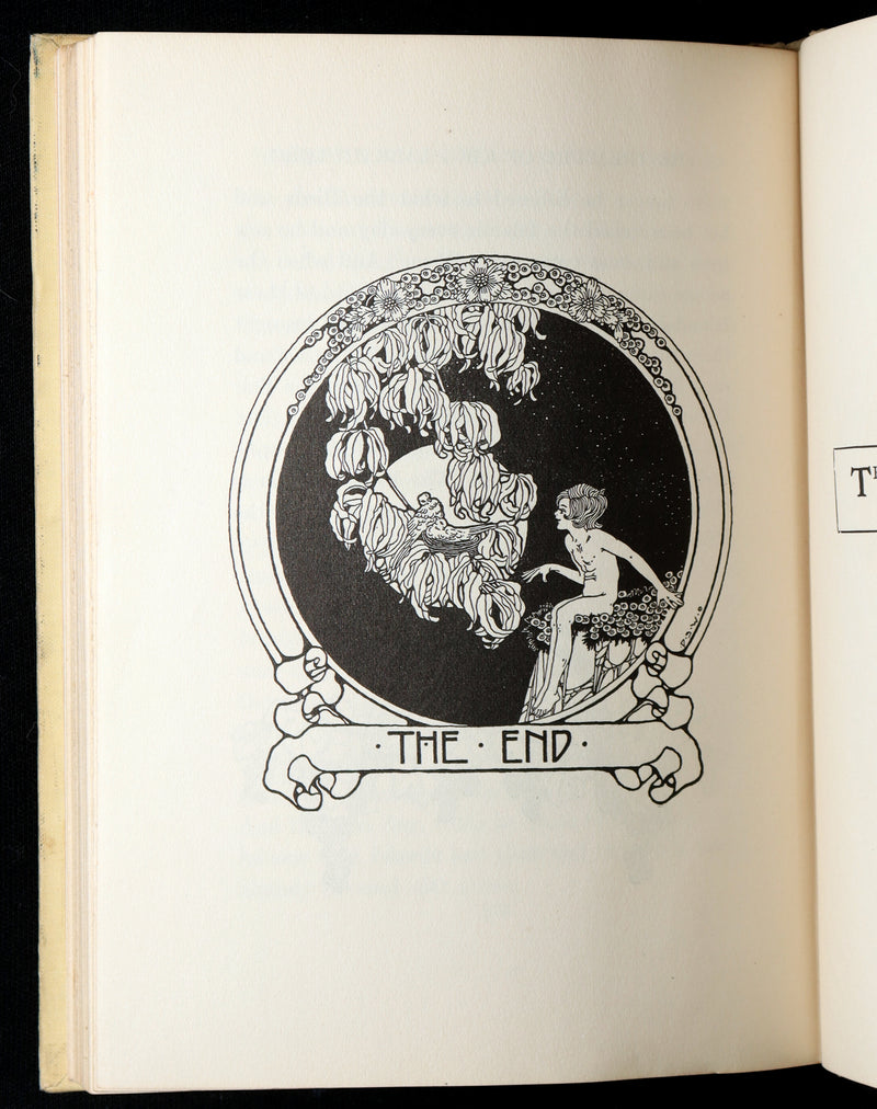 1918 First Edition-The Boy Who Knew What the Birds Said by Dugald Stewart Walker