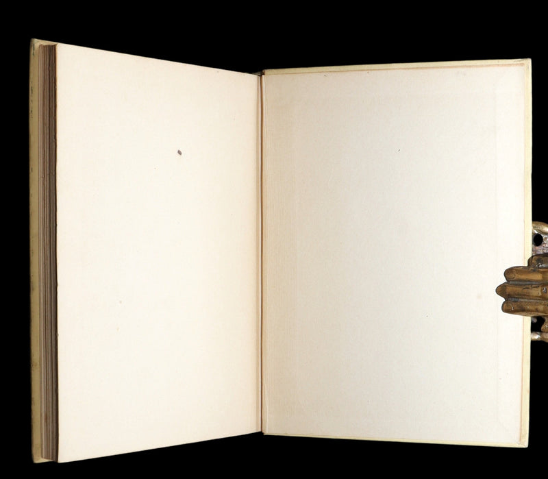 1918 First Edition-The Boy Who Knew What the Birds Said by Dugald Stewart Walker