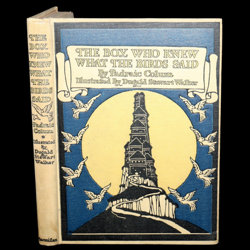 1918 First Edition-The Boy Who Knew What the Birds Said by Dugald Stewart Walker