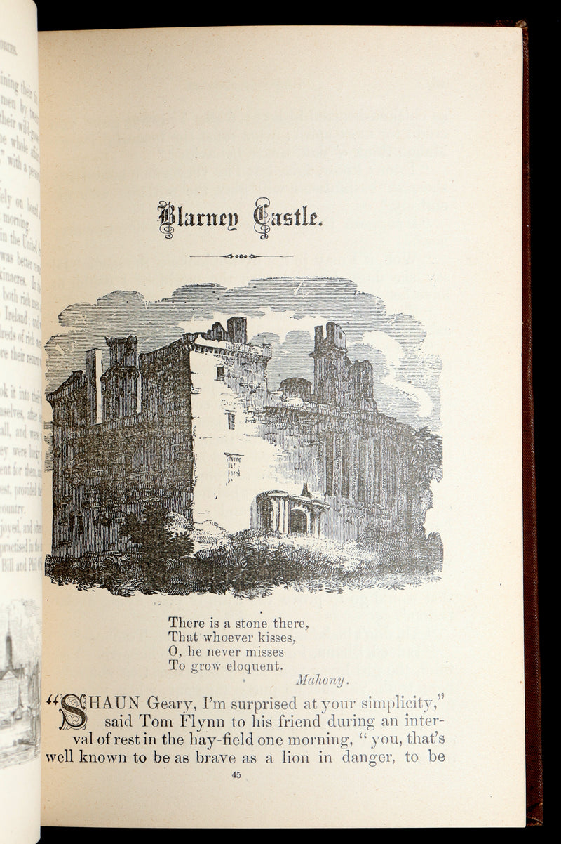 1890 Rare Book - Turf-Fire Stories and Fairy Tales of Ireland by Barry O’Connor