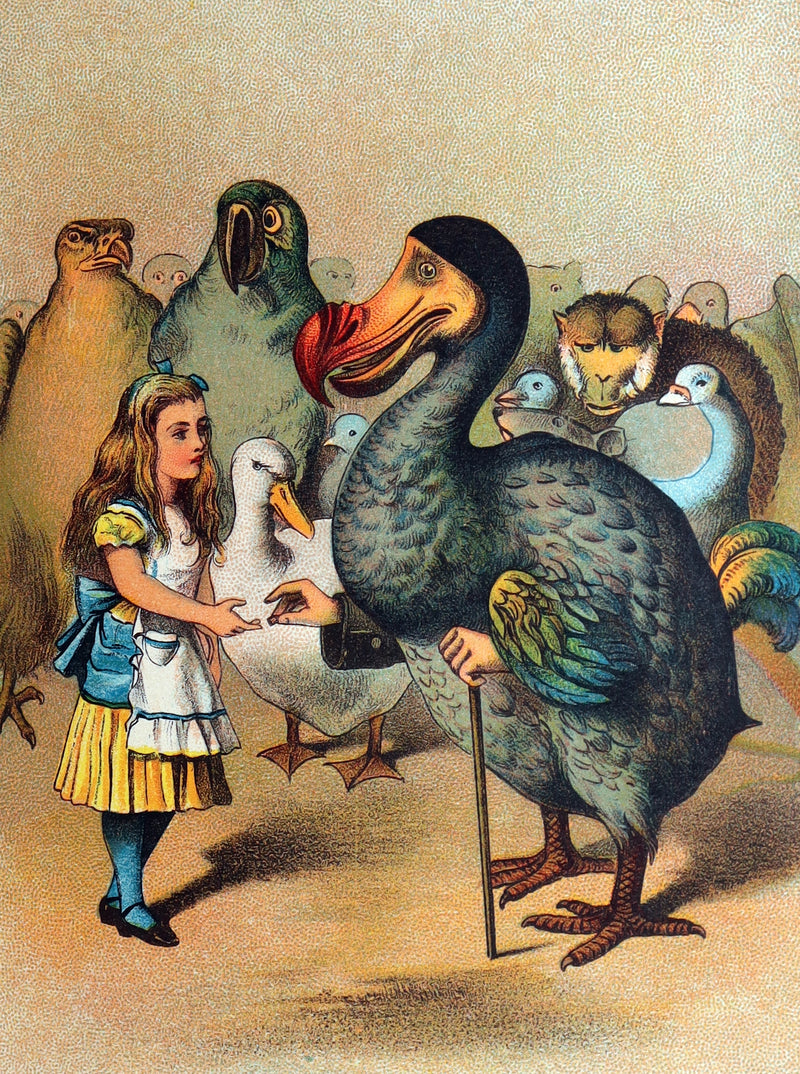 1912 Rare Edition - Alice's Adventures in Wonderland & Through the Looking-Glass