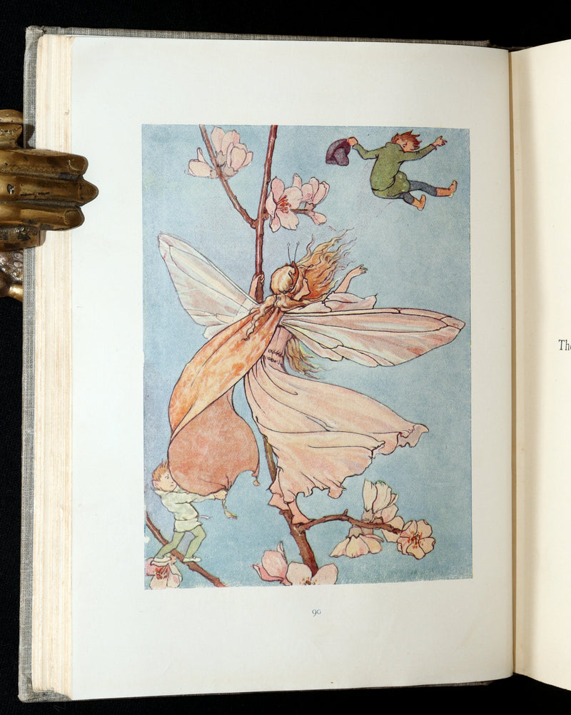1922 Scarce Book - Fairy Tales with 48 Coloured Plates By Margaret W. Tarrant