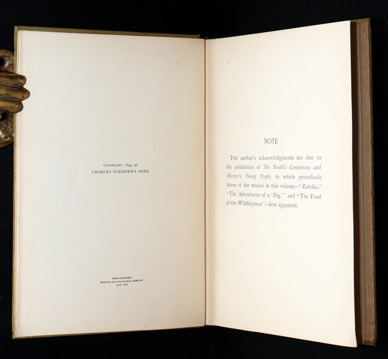 1894 Scarce First Edition - Norseland Tales of Norway by Hjalmar Hjorth Boyesen