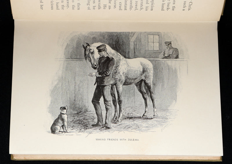 1894 Scarce First Edition - Norseland Tales of Norway by Hjalmar Hjorth Boyesen