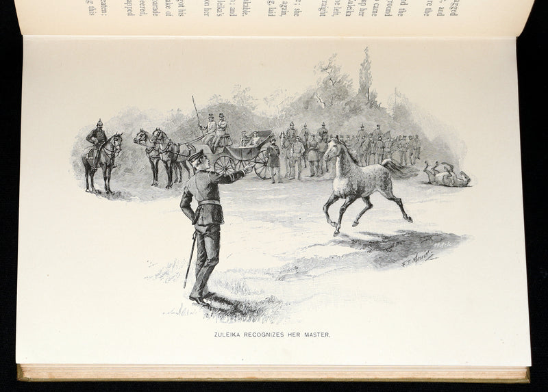 1894 Scarce First Edition - Norseland Tales of Norway by Hjalmar Hjorth Boyesen