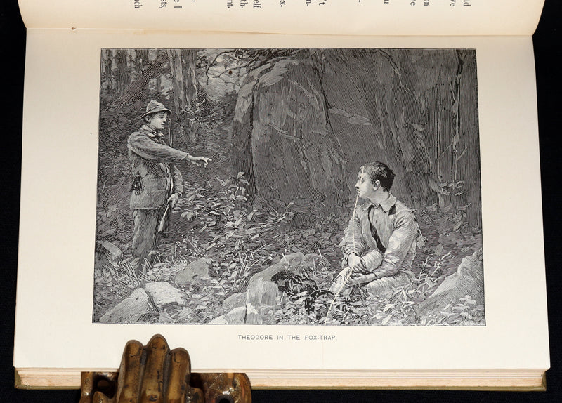 1894 Scarce First Edition - Norseland Tales of Norway by Hjalmar Hjorth Boyesen