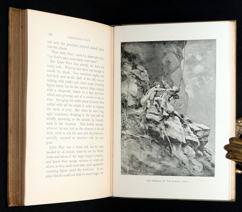 1894 Scarce First Edition - Norseland Tales of Norway by Hjalmar Hjorth Boyesen