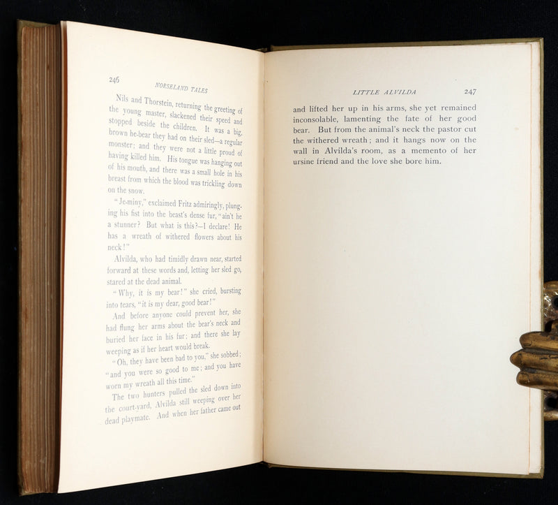 1894 Scarce First Edition - Norseland Tales of Norway by Hjalmar Hjorth Boyesen